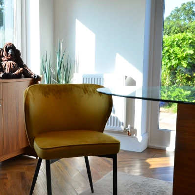 Belisimo Dining Chair Mustard Velvet & Black Legs