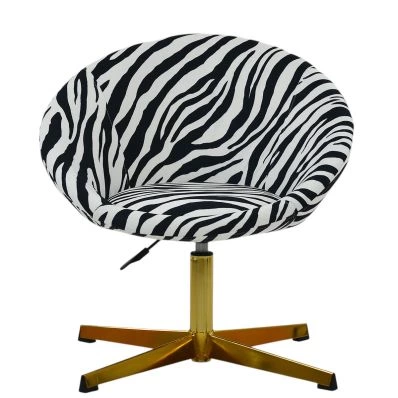 Endrick Vanity Chair in Zebra Fabric