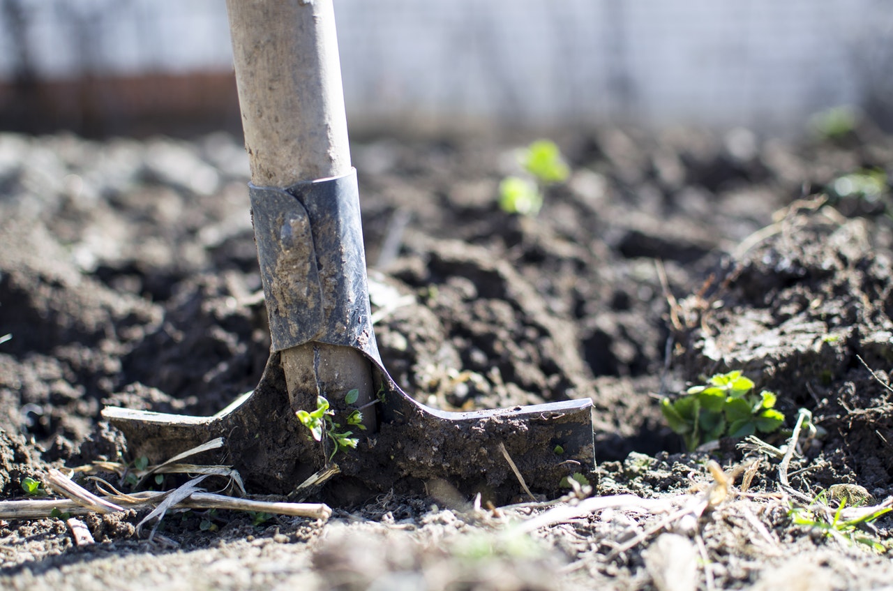 Celebrating National Gardening Week! Our Top Tips