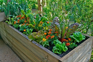 Garden Landscape Ideas