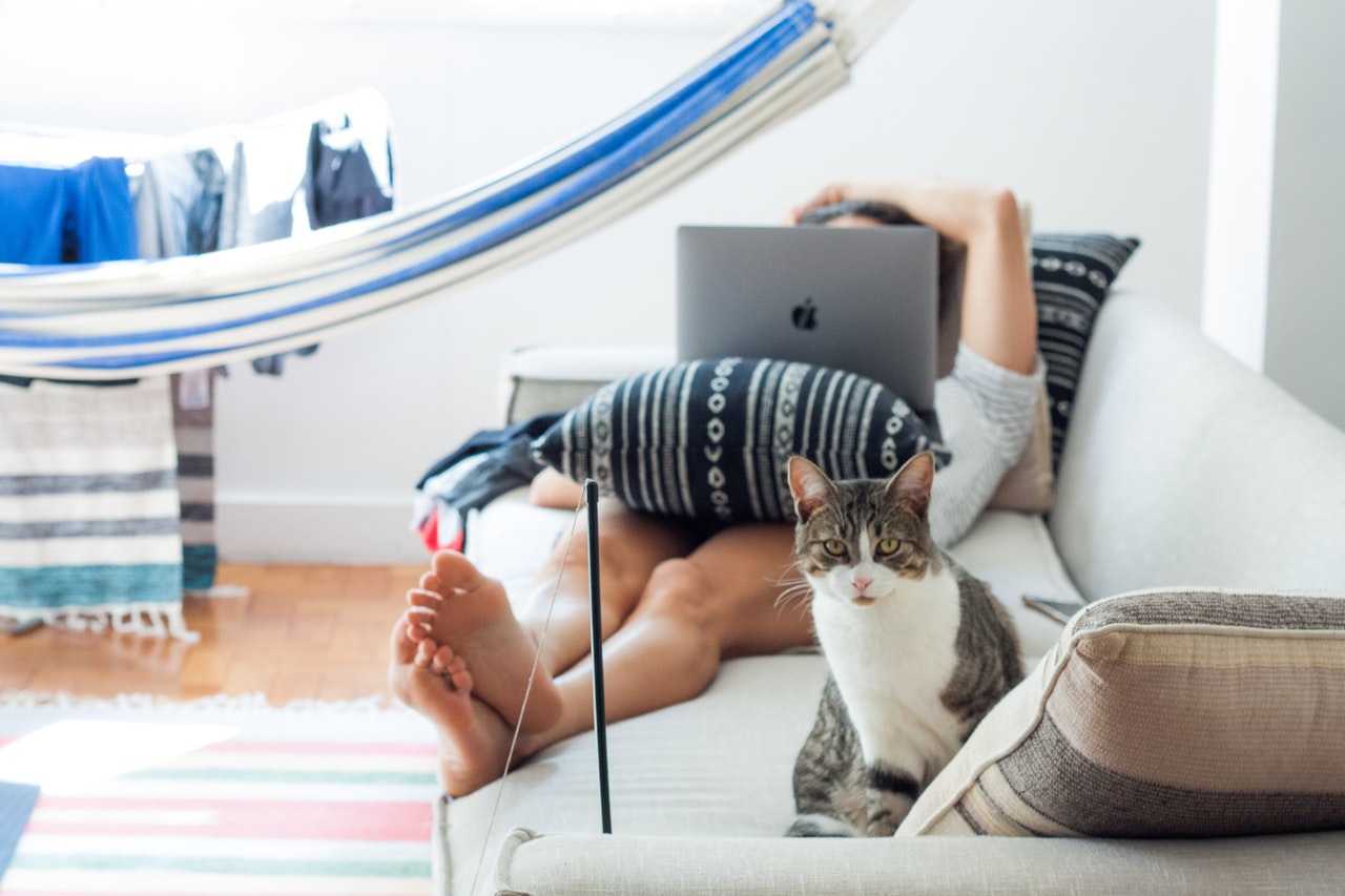 Why Online Furniture Shopping Beats the High-Street