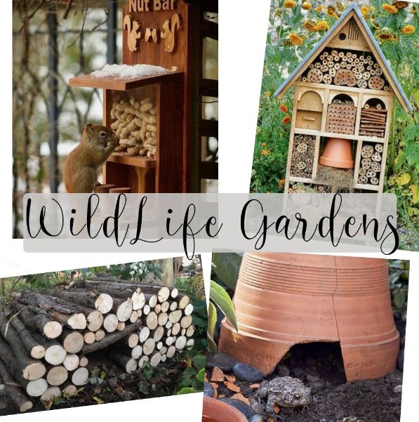Wildlife Friendly Gardens