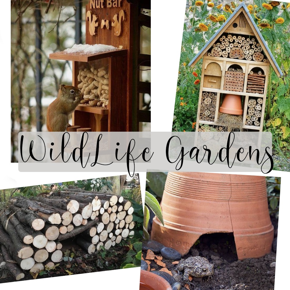 Wildlife Friendly Gardens