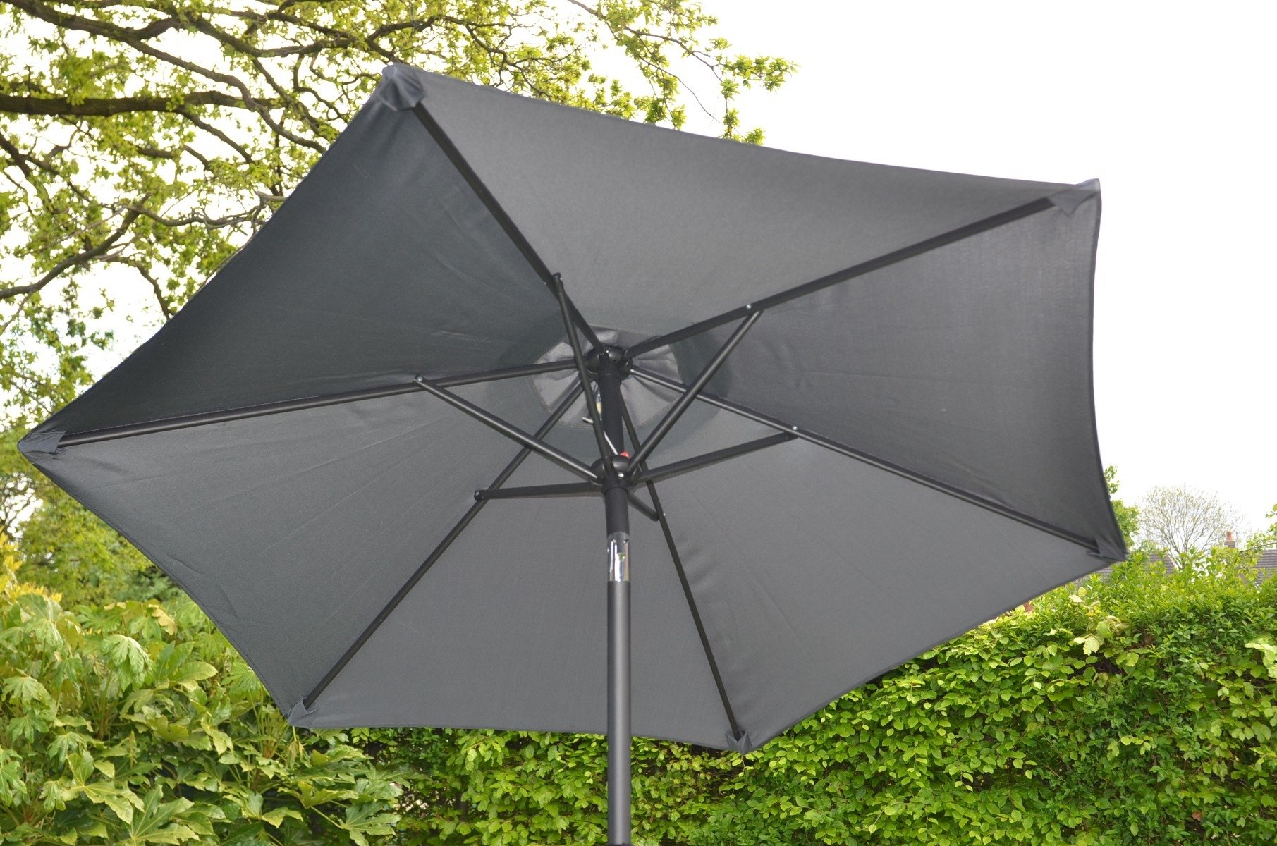 Grey Parasol